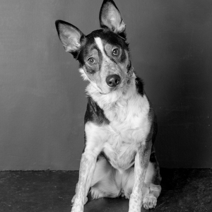 Fundraising Page: Addie Anderson